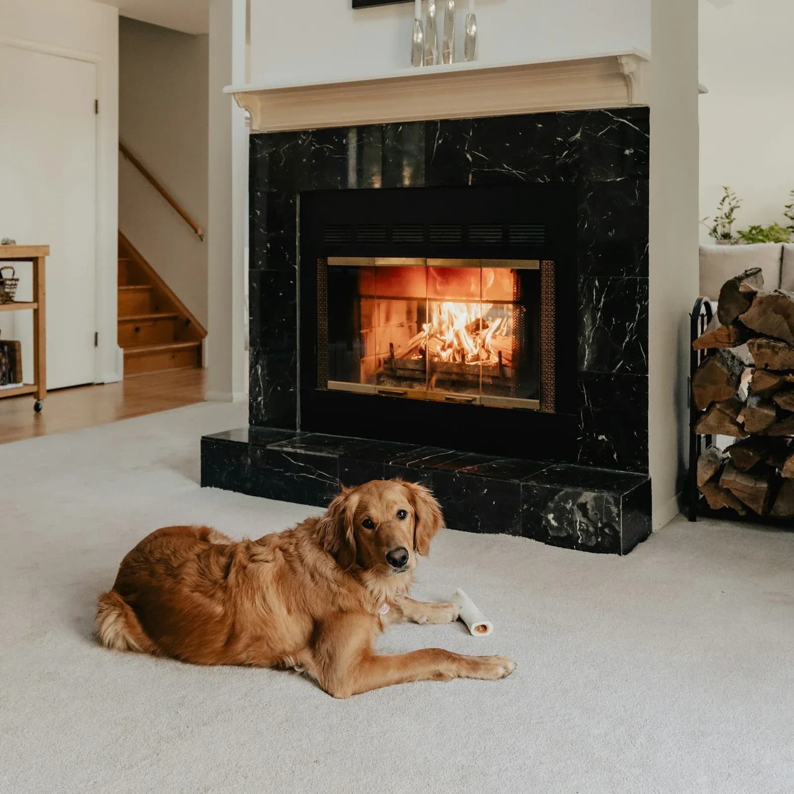 A golden retriever lies on a cream carpet in front of a crackling fire in a black marble fireplace.