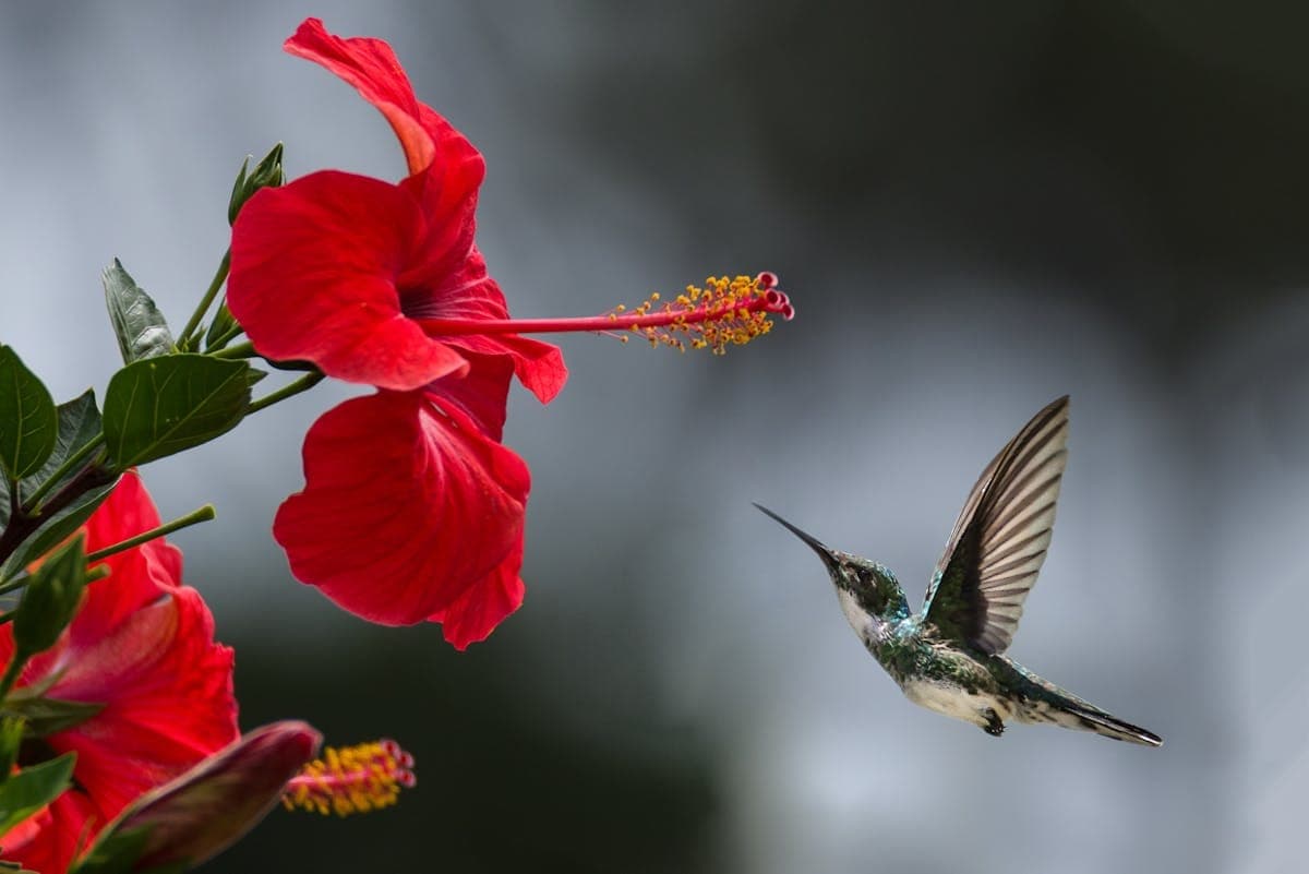 Say Hello to Rich Colours: Tips to Bring Nature to Your Home this Spring