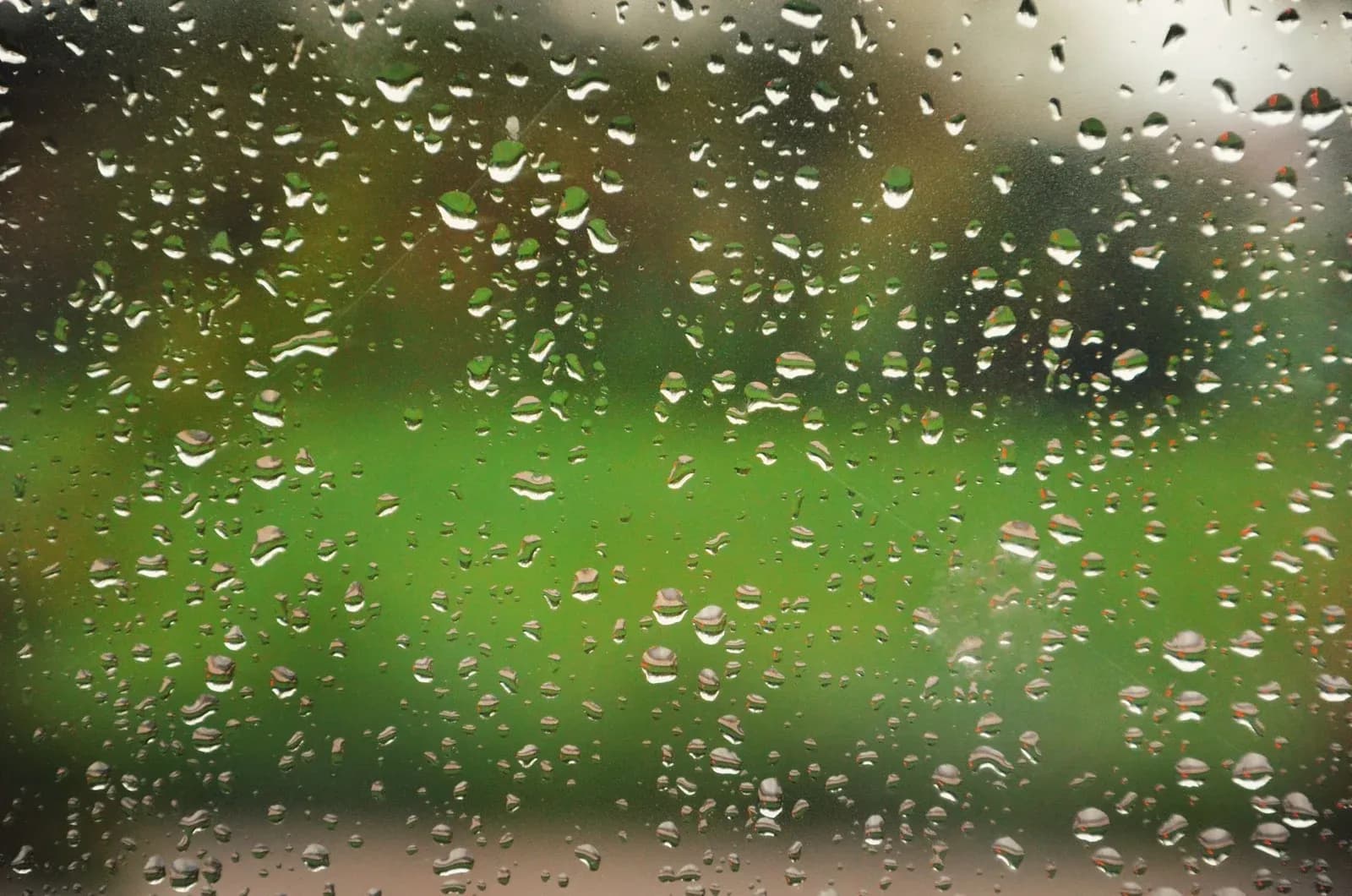 Condensation droplets running down the inside of a window pane.