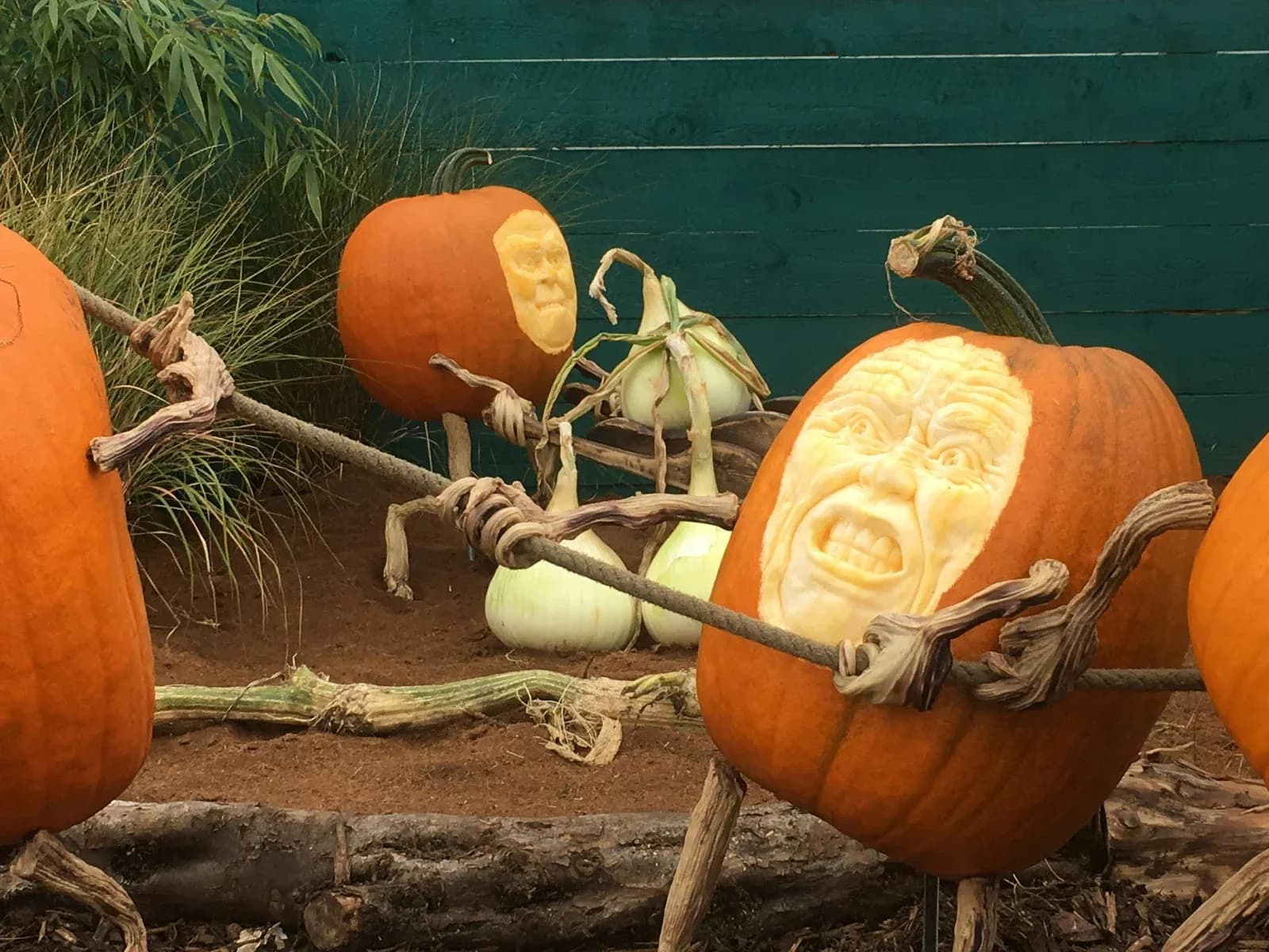 Pumpkins carved with sculpted faces and given arms made from twisted vines.
