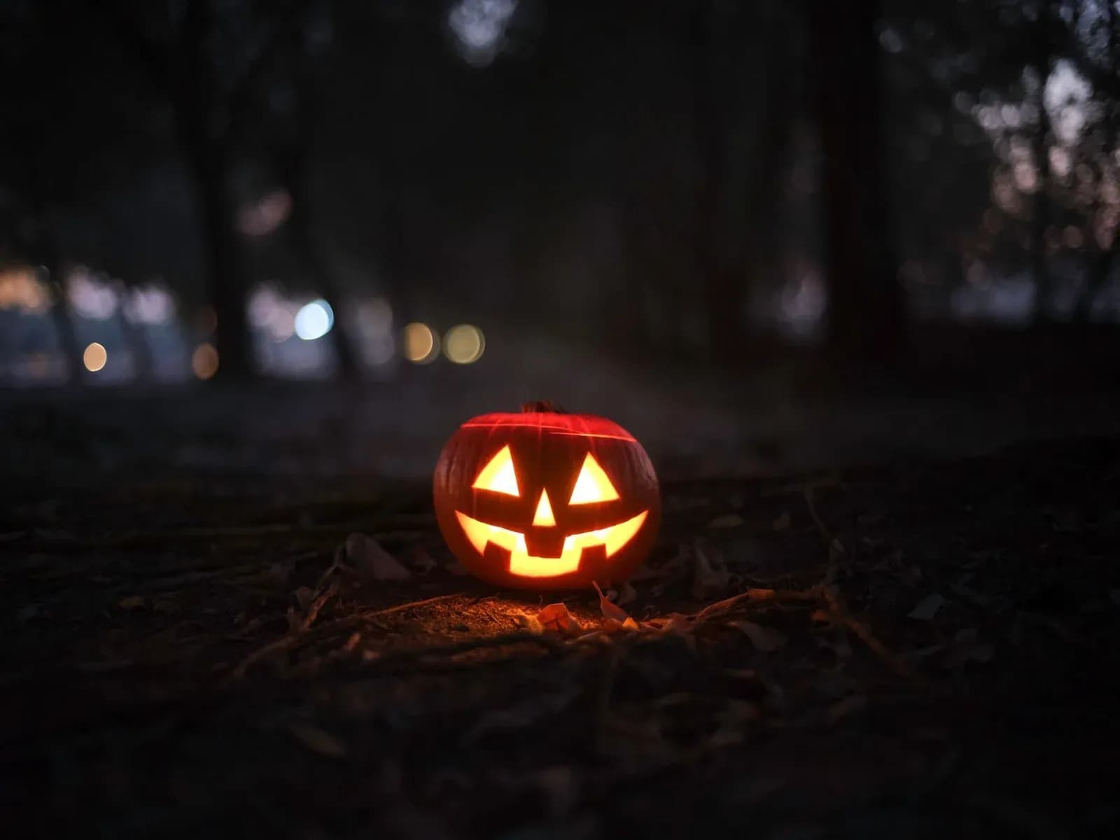 A carved jack-o'-lantern glows on a leafy woodland floor at dusk.