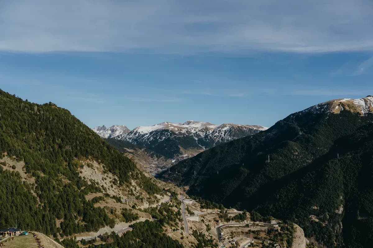 A deep forested valley leading towards snow-capped peaks.