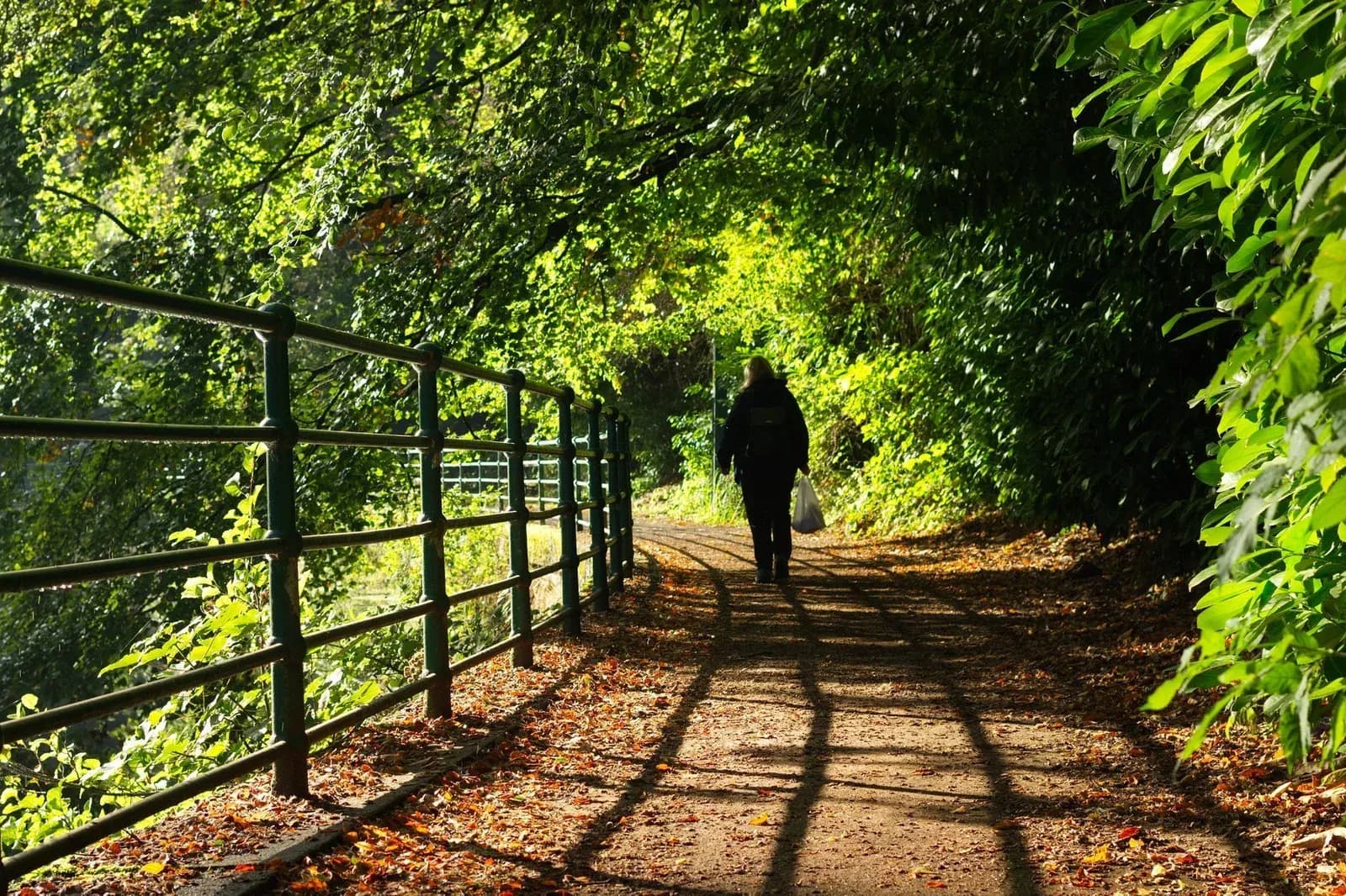 A person walks along a leafy, sunlit path lined with railings and trees.