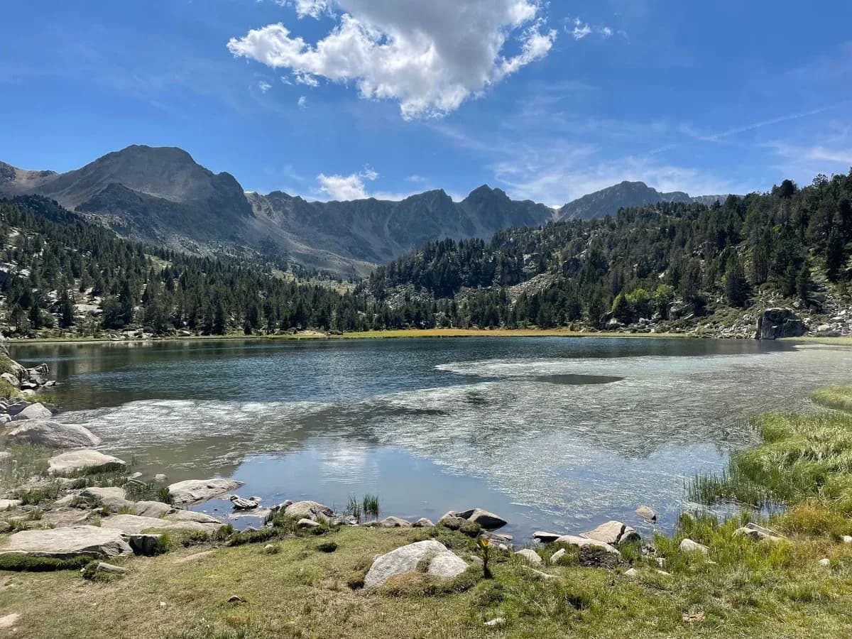 A clear mountain lake surrounded by pine forest and rocky peaks.