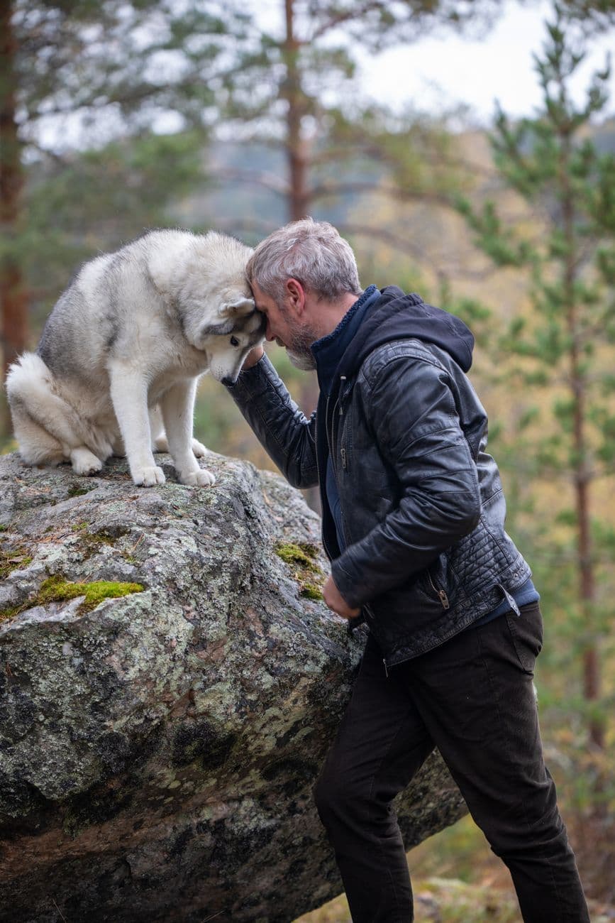 A man gently interacting with an Alaskan Malamute on a rock in a serene forest.
