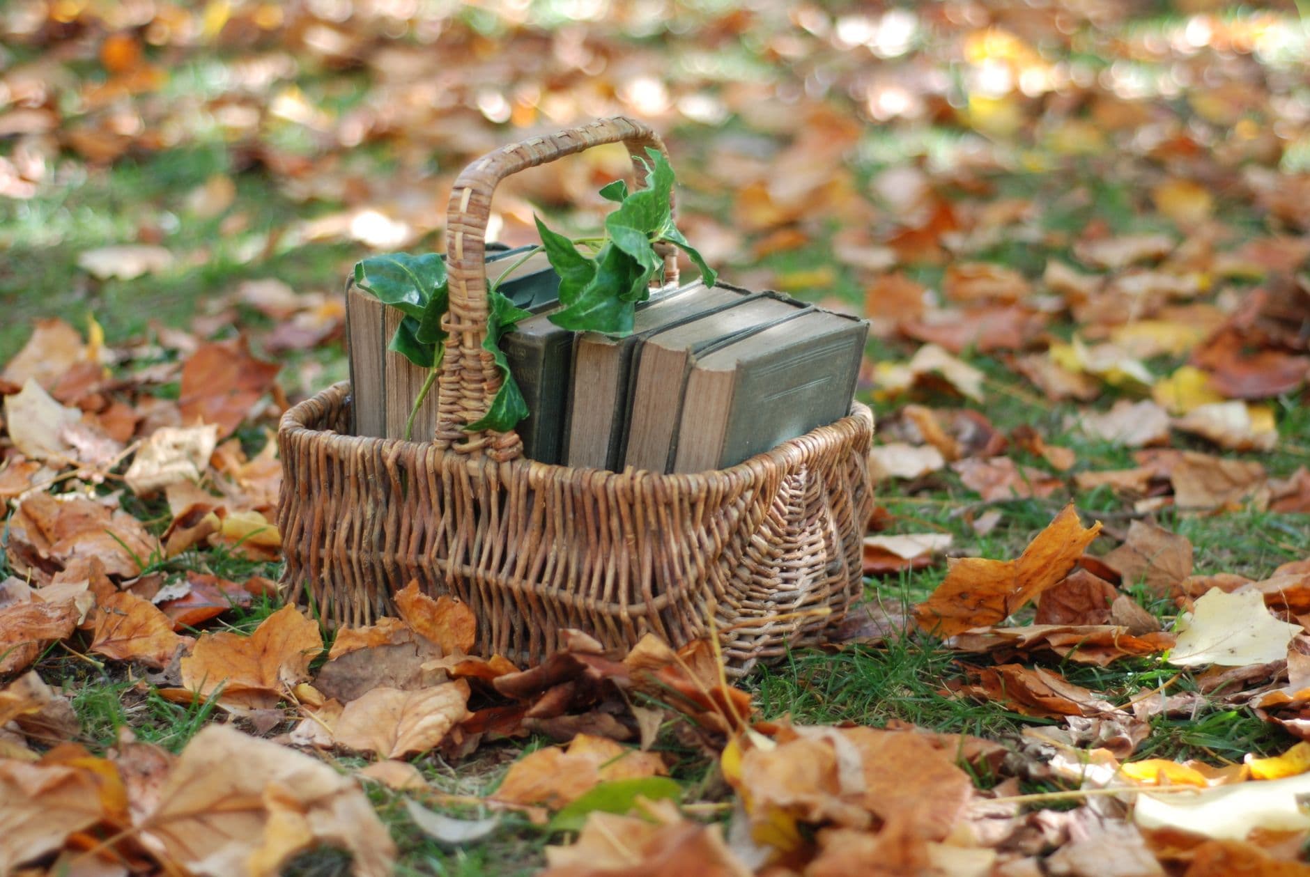 A wicker basket filled with vintage books sits peacefully among fallen autumn leaves in a serene outdoor setting.