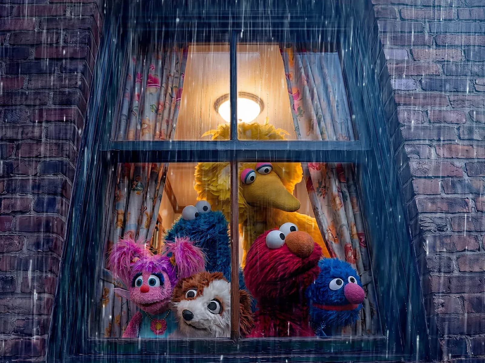Sesame Street characters look out through a lit window at heavy rain falling at night.