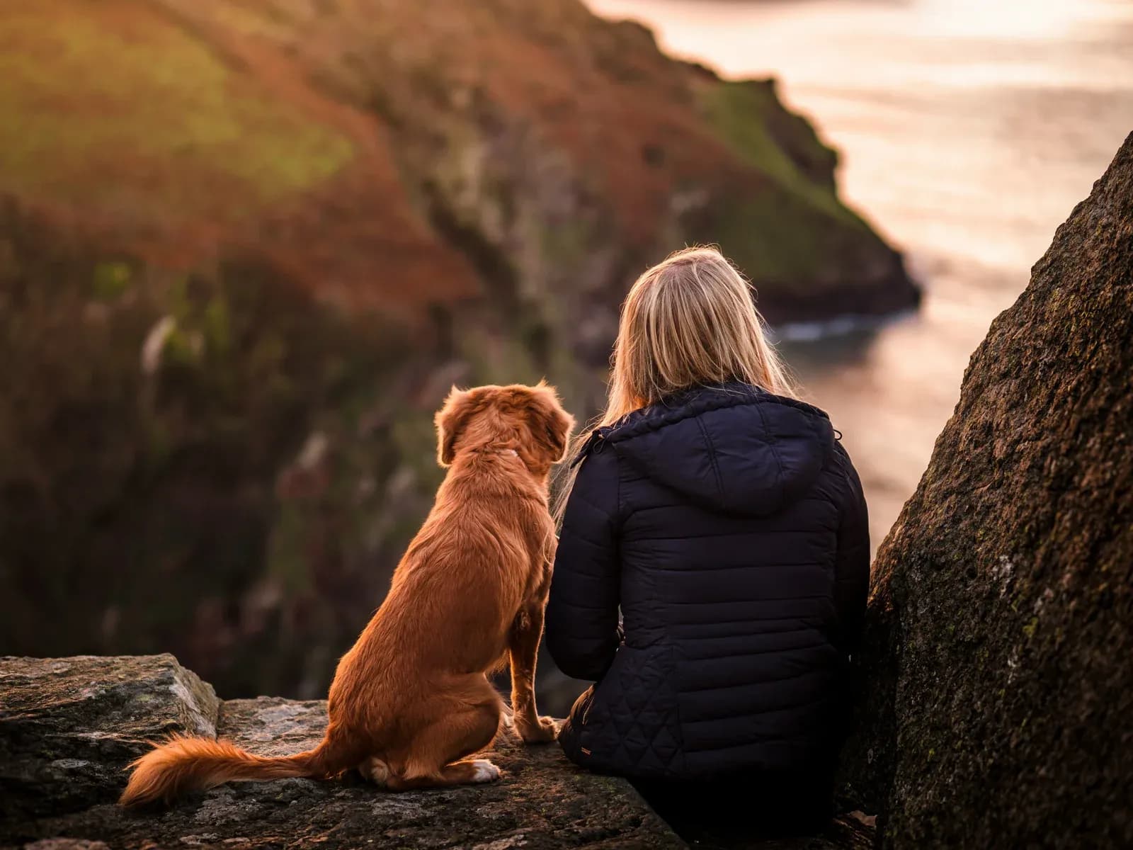 A woman and a golden dog sit side by side on a clifftop, looking out to sea at sunset.